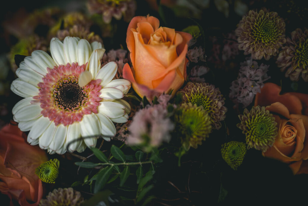 Werbefotografie Gärtnerei Zwanzger - Detailaufnahmen von Blumen
