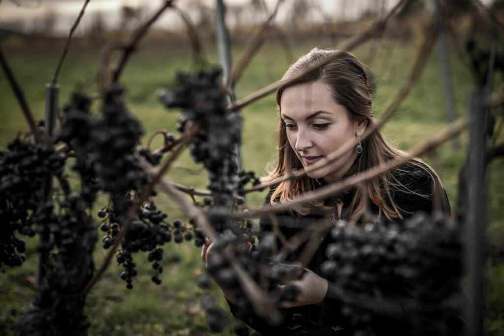 Eine junge Dame schaut auf die Weintrauben im Weinberg - es ist durch die Reben durchfotografiert. Man sieht die Hingabe zum Produkt.