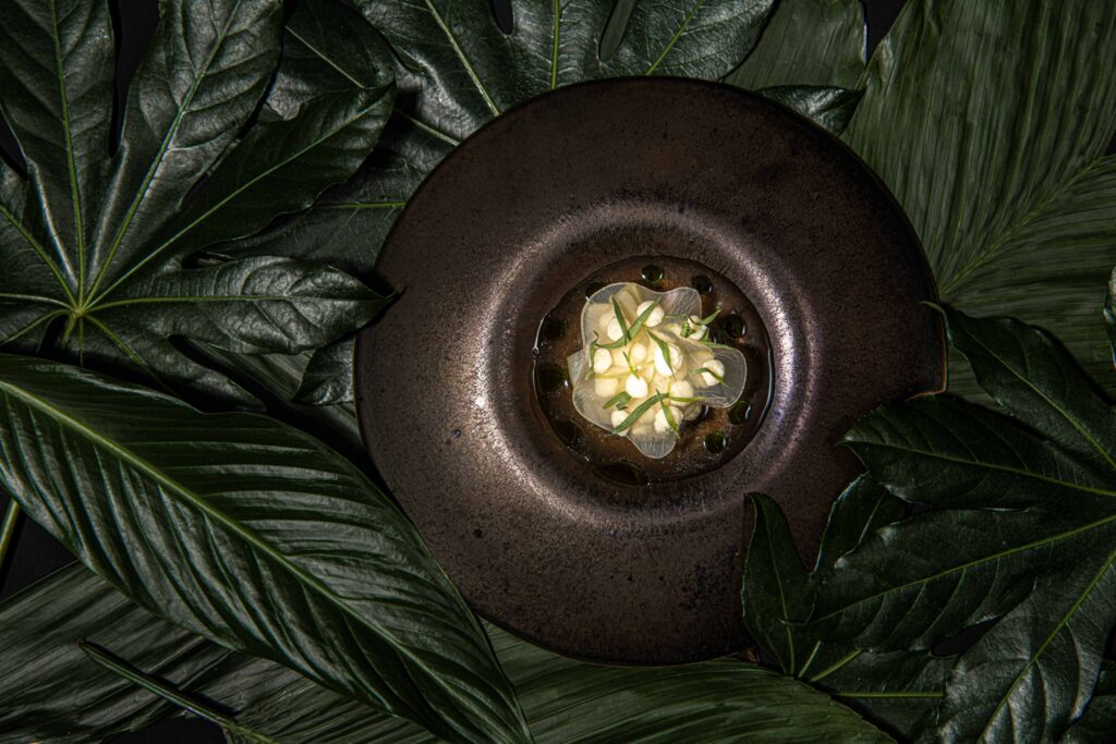 Foodfotografie/ Restaurant Wörgötter - Brauner Teller auf grünen großen Blättern