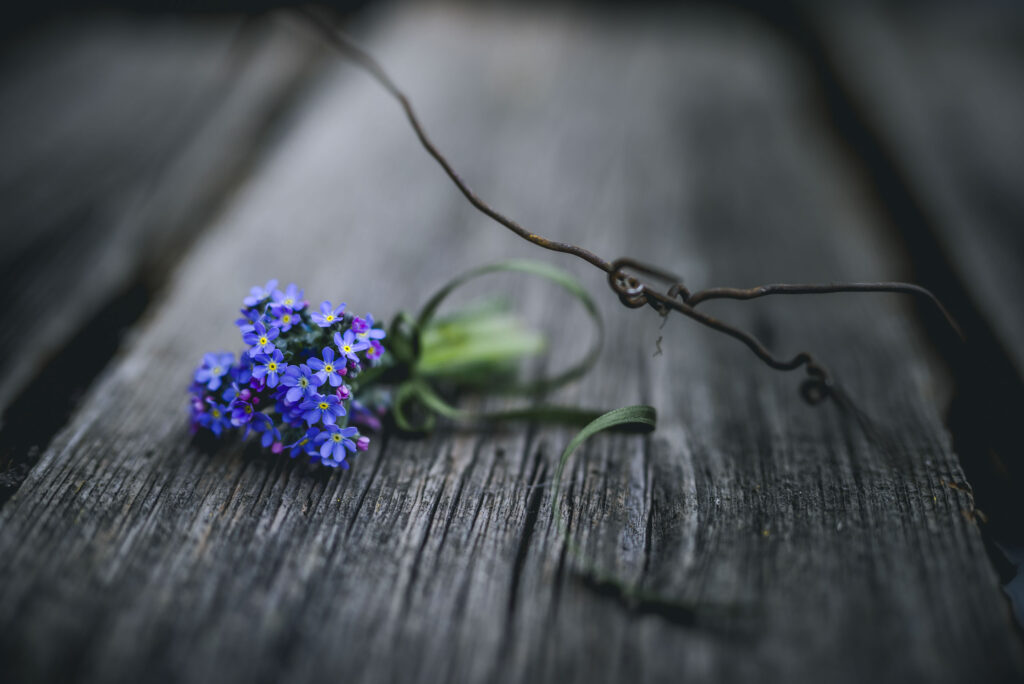 Werbefotografie Gärtnerei Zwanzger - Detailaufnahmen eines kleinen Blumensträußchens