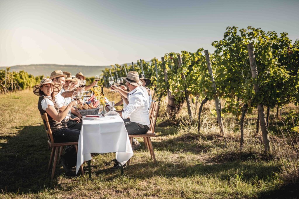 Werbefotografie Weingut Singer - Bader - mehrere Leute sitzen an einem gedeckten Tisch im Weingarten