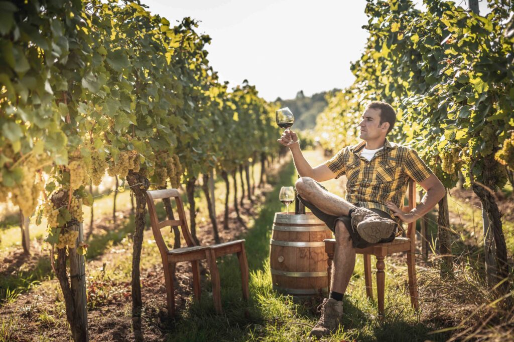 Werbefotografie Weingut Singer - Bader - die Arbeiter im Weingarten bei der Ernte