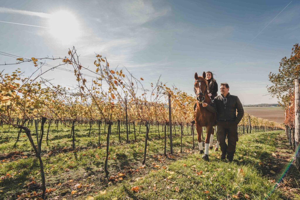 Eine Dame reitet auf einem hellbraunen Pferd durch den Weinberg, ein Mann hält das Pferd an einer Schnur und geht neben mit