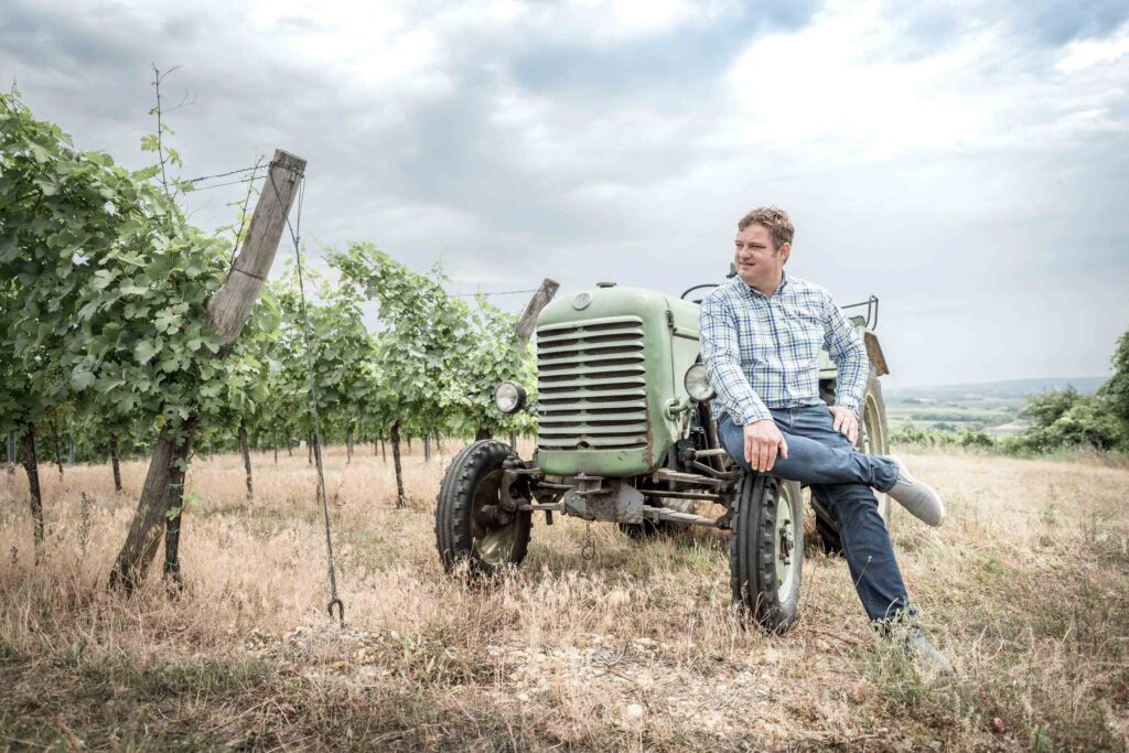 Ein Mann Sitzt auf einem Traktor mitten in einem Weinberg
