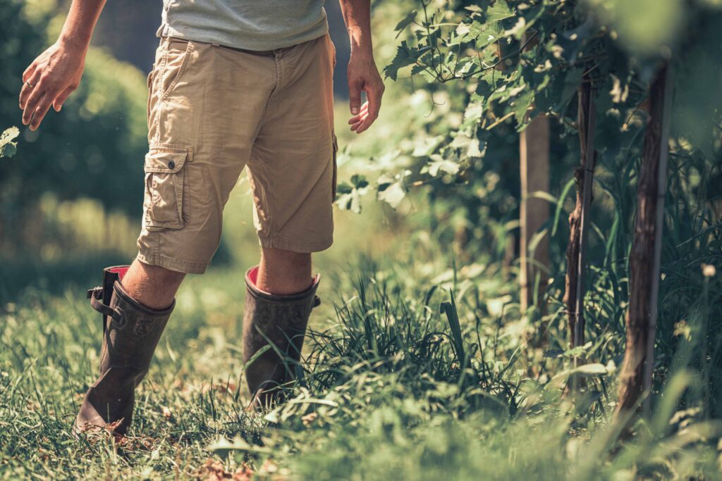 Detailaufnahme eines Mannes stehend im Weinberg. Man sieht nur seine Gummistiefel.
