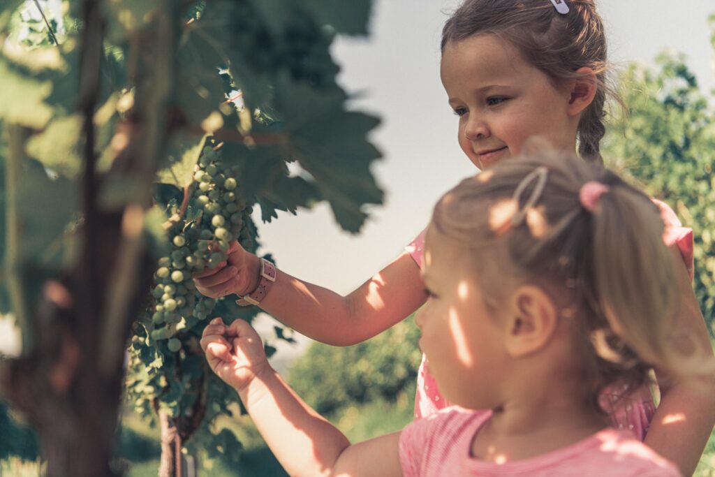 Werbefotografie- zwei Kinder sehen sich Trauben an einem Weinstock an