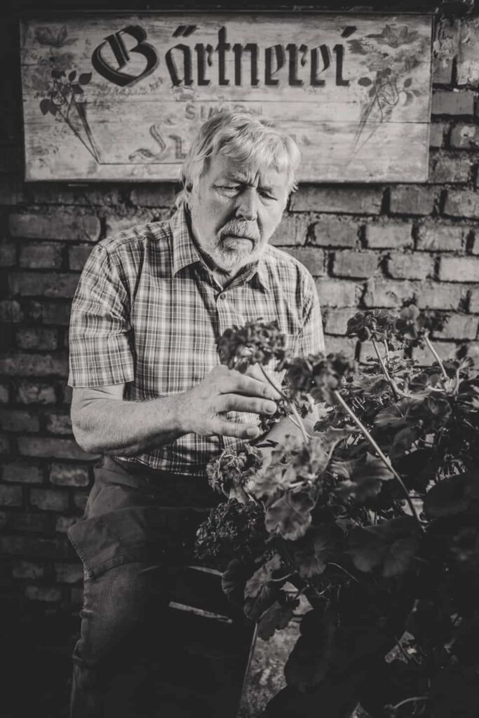 Ein alter, weißhaariger Mann bindet einen Blumenstrauß vor einer Ziegelwand
