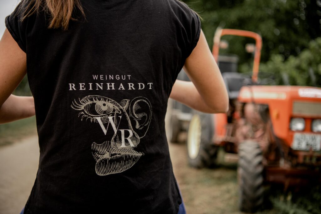 Werbefotografie Weingut Reinhardt/ Bild von der Ernte der Trauben im Weingarten