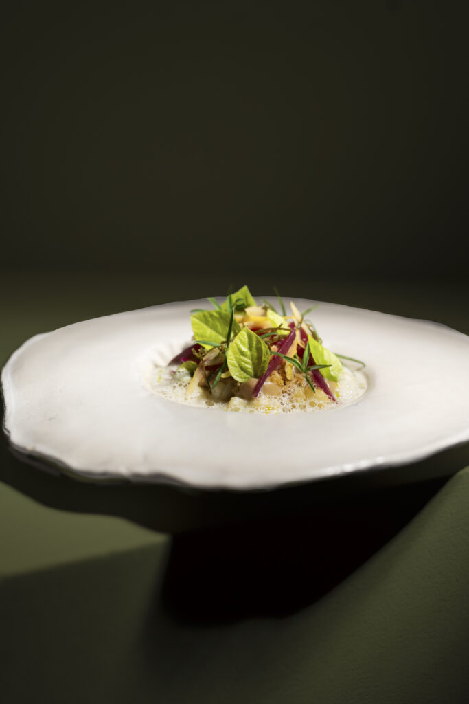 Foodfotografie auf weißem Teller und grünen  Hintergrund